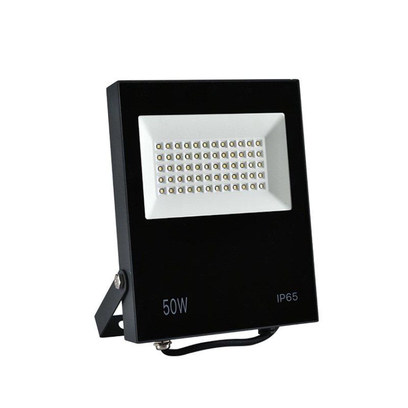 30W 50W 100W led flood light